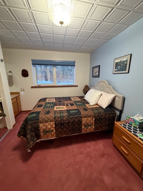A bedroom featuring a bed with a dark, lodge-style patchwork quilt and a light-colored arched headboard against a blue wall. The room includes a window overlooking a snowy wooded area, a white grid-patterned ceiling, and a wooden nightstand with two drawers in the foreground.