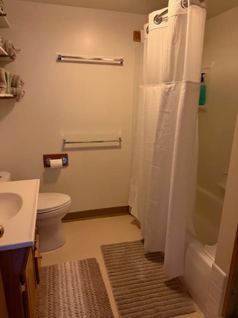 A simple bathroom featuring a white toilet on the left and a bathtub with a white shower curtain on the right. Two neutral-toned bath mats are on the floor, and a wooden towel rack and toilet paper holder are mounted on the wall.
