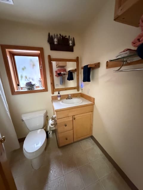 A bathroom featuring a light-colored vanity with a white sink and a wooden-framed mirror above it. The space includes a white toilet, light-colored floor tiles, and a small window on the left looking out toward a snowy scene. Above the mirror, a rustic decorative light fixture with a forest silhouette is mounted.