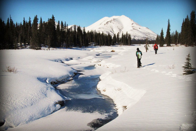 Dillingham Alaska And Beaver Creek B&B Welcome You!