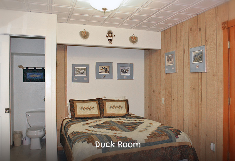 Duck Room bed and bath